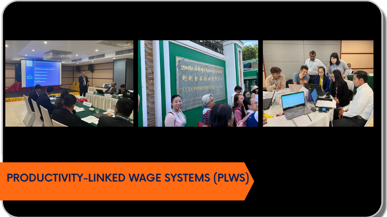 Productivity-linked Wage Systems (PLWS)