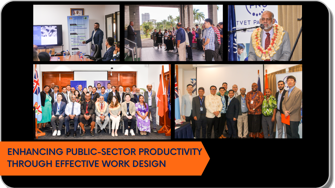 Enhancing Public-sector Productivity Through Effective Work Design